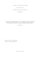 Osnivanje središnjih knjižnica nacionalnih manjina u Republici Hrvatskoj kao doprinos razvoju multikulturalnog društva