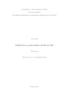 Politički život u gradu Osijeku od 1848. do 1906.